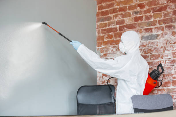 Best Environmental Consulting for Mold Prevention  in Shaw Heights, CO