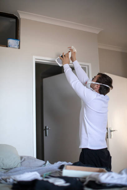 Environmental Consulting for Mold Prevention in Shaw Heights, CO