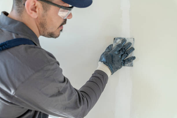 Mold Documentation for Insurance Claims in Shaw Heights, CO