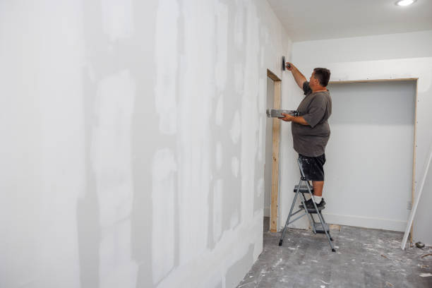 Best Dehumidification Services  in Shaw Heights, CO