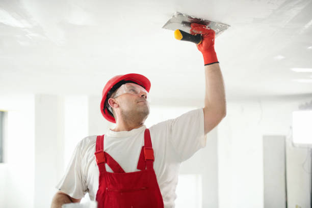 Forensic Mold Investigation in Shaw Heights, CO